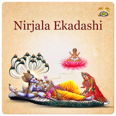 निर्जला एकादशी - इतिहास और महत्व