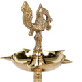 7.6 Inch Pure Brass Peacock Kerala Diya - thumbnail 7
