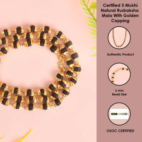 5 Mukhi Golden Capping Natural Rudraksha Mala 100% Original & Certified