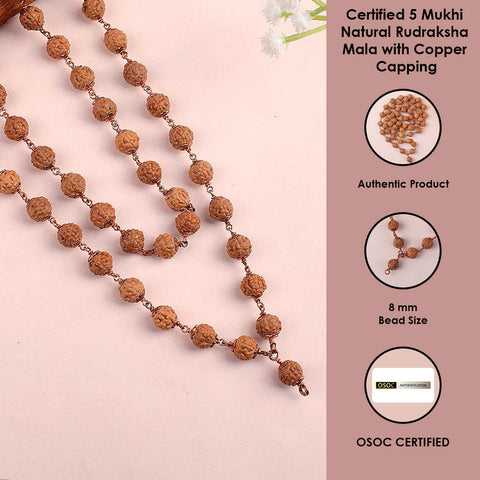 5 Mukhi Copper Capping Natural Rudraksha Mala 100% Original & Certified