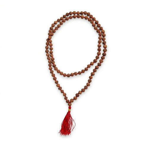 6 Mukhi Rudraksha Mala