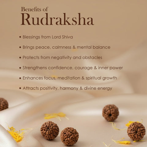 5 Mukhi Brass Capping Natural Rudraksha Mala 100% Original & Certified