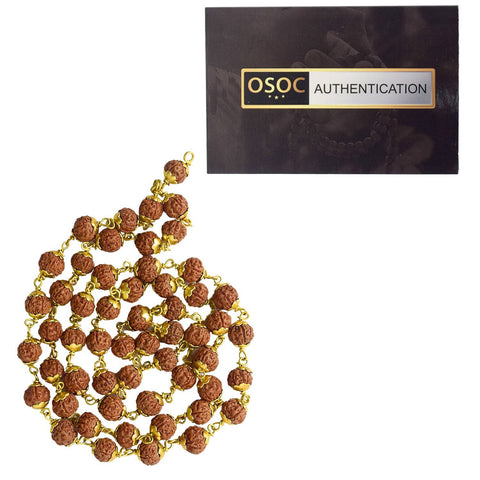 5 Mukhi Brass Capping Natural Rudraksha Mala 100% Original & Certified