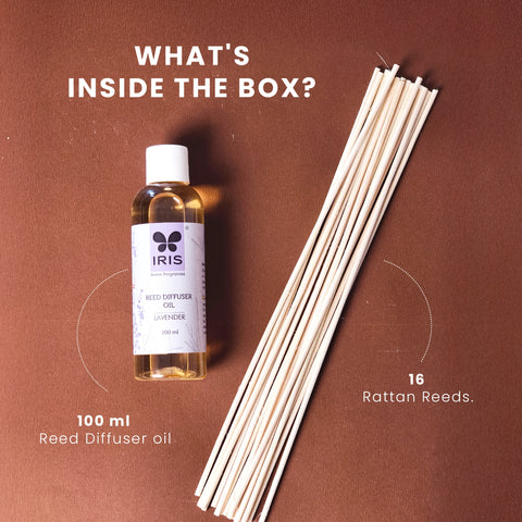 IRIS Lavender Reed Diffuser Refill Set