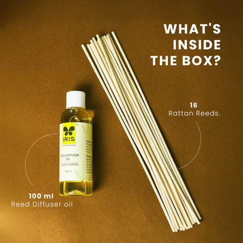 IRIS Lemongrass Reed Diffuser Refill Set