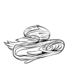 Javitri