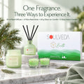Earth Pine Forest Fragrance Gift Set | 1 Mini Reed Diffuser 45 ml, 1 Jar Candle 80 g & 2 Glass Votives - thumbnail 4