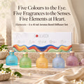 Elements Mini Reed Diffuser Set | 5 x 45 ml, 20 N Fibre Reed Sticks - thumbnail 2