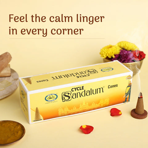 Sandalum Cones Combo - Pack of 4