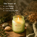 Soulveda Earth Pine Forest Scented Glass Jar Candle 80 g
