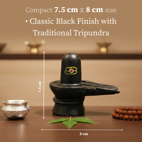 Shiva Lingam Idol for Home Temple
