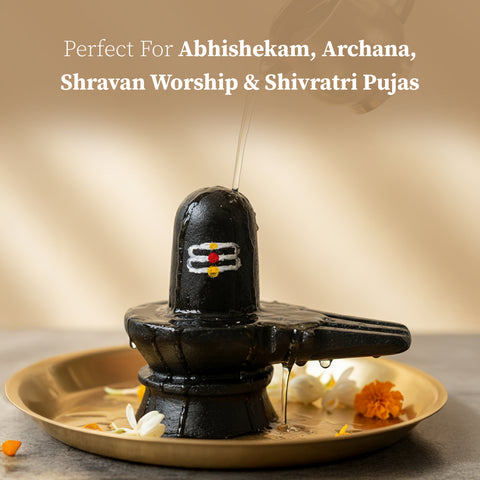 Shiva Lingam Idol for Home Temple